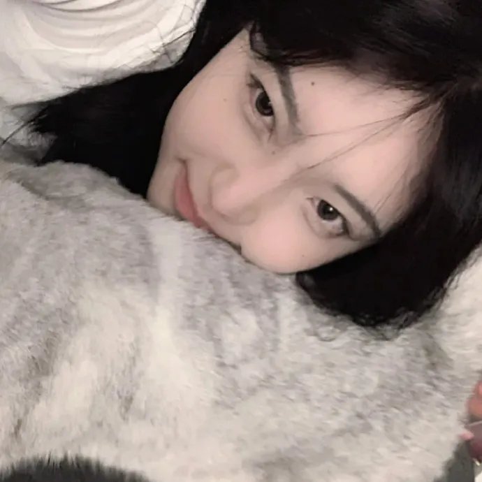 简如西尔万海报